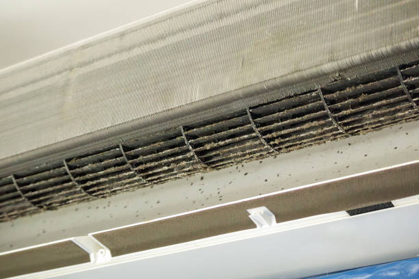 Best HVAC Duct Inspection Services  in Silverdale, WA